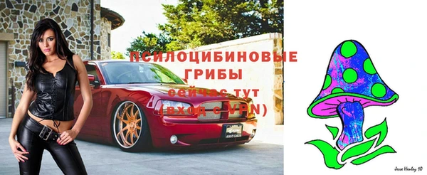 крисы Балабаново